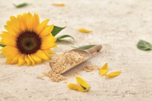 Sunflower Lecithin (E322)