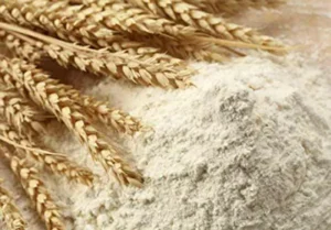 Vital Wheat Gluten (Wheat Protein)