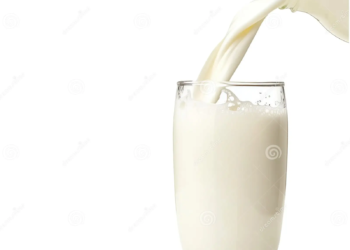 Skimmed Milk Concentrate