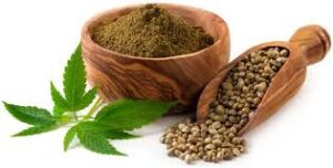 Hemp Protein