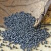 BLUE POPPY SEEDS - Image 4