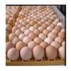Fresh Chicken Eggs - Image 4