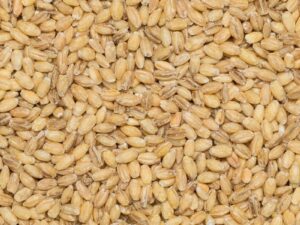 Organic Barley Hulled