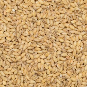 Organic Barley Hulled