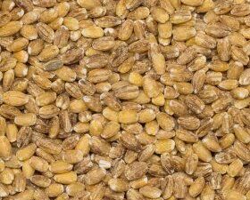 Organic Barley pearled