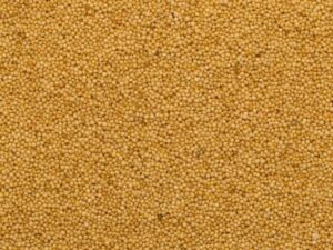 Organic Amaranth