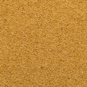 Organic Amaranth