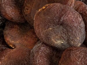 Apricots sweet nr. 1 org.