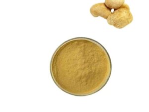 Organic Hericium mushroom extract Powder