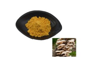Oyster mushroom extract Powder