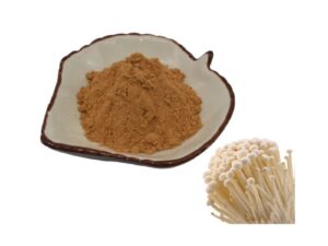 Enoki mushroom extract Powder