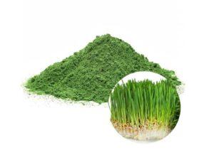Organic Wheat Grass Powder
