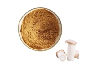 Pleurotus Eryngii extract powder