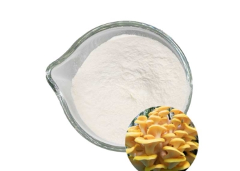 Pleurotus citrinopileatus Extract Ergothioneine Powder