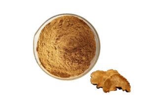 Common Phellinus Fungus Powder