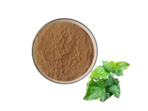 Mulberry leaf extract