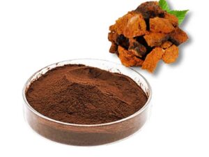 Chaga Mushroom Extract Powder