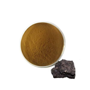 Shilajit Extract Fulvic acid