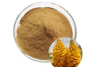 Cistanche Tubulosa Extract Powder