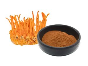 Cordyceps Militaris Extract Powder