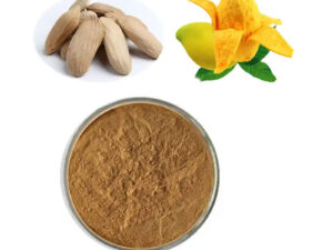 African Mango Extract/African Mango Seed Extract