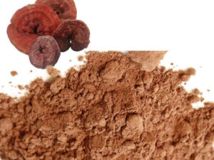 Reishi Mushroom Extract/Ganoderma Lucidum Extract Powder