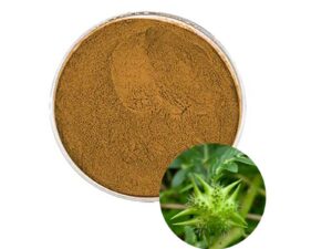 Tribulus Terrestris Extract
