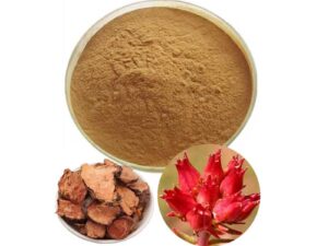 Rhodiola Rosea Extract