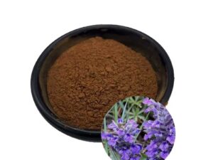 Ajuga Turkestanica Extract Turkesterone
