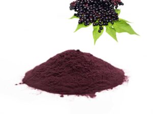 Elderberry Extract/Elderberry Powder