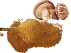 Shiitake Mushroom Extract Powder