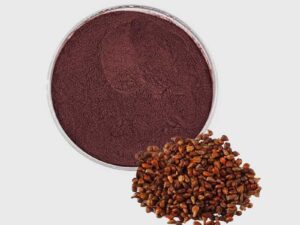 Grape Seed Extract