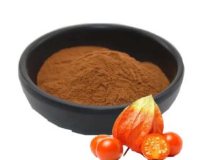 Ashwagandha Extract Withanolides