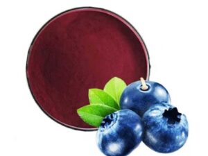 Bilberry Extract Anthocyanidins
