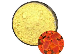 Sumac Extract Fisetin powder