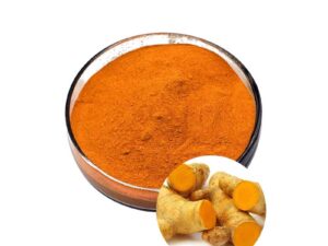 Turmeric Extract Curcumin