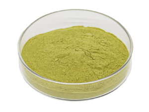 Ginkgo Biloba Extract Manufacturer