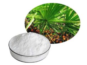 Saw Palmetto Extract