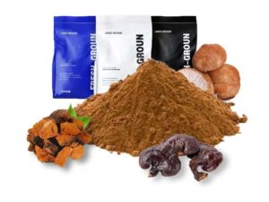 Mushroom coffee blend powder