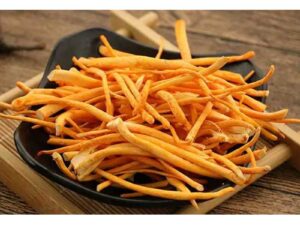Cordyceps Militaris Extract Powder