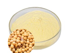 Soybean Extract Powder