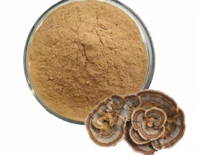 Organic Turkey Tail Extract
