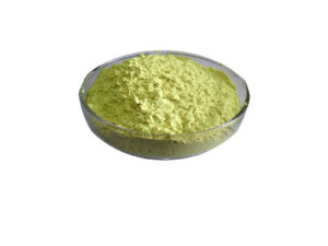 Sophora japonica Extract Rutin Powder