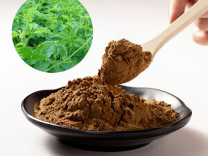 Gynostemma Extract Powder