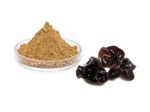 Black fungus extract Powder