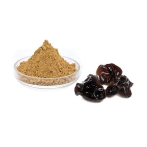 Black fungus extract Powder