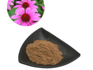 Sunflower Lecithin Powder