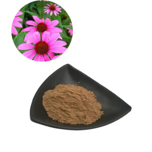 Sunflower Lecithin Powder