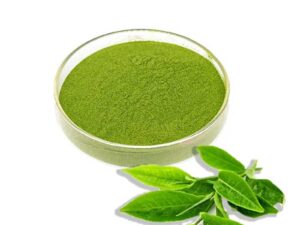 Organic Matcha Powder