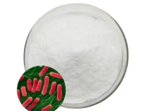 Lactobacillus acidophilus powder